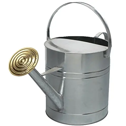 Top Class Quality  Newest Design Garden Usage Premium Quality New Traditional Style Water Storage Can For Wholesale Price