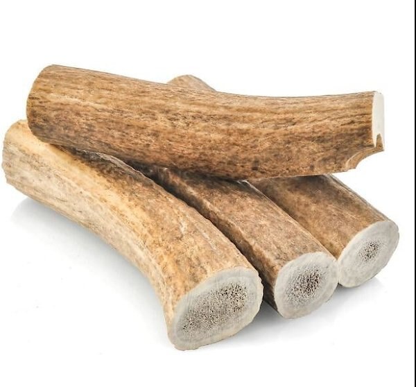 HOTSPOT PETS Whole Large Elk Antlers 7-8-in Dog Chew Treats