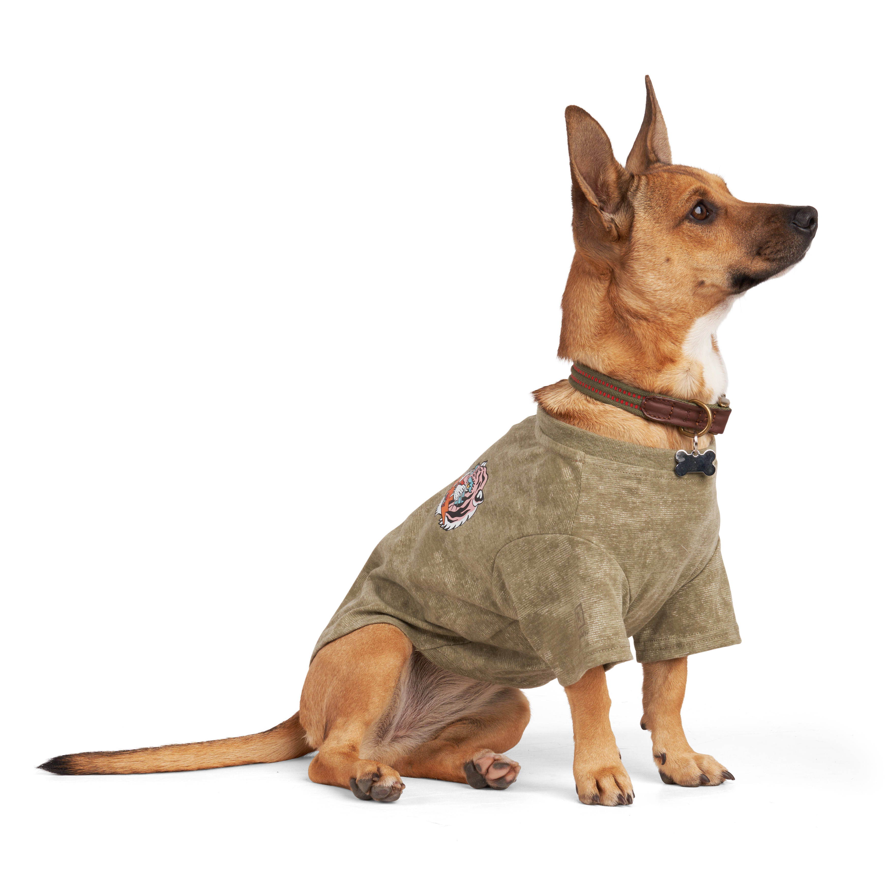 Reddy Olive Tiger Tee for Dogs， X-Small