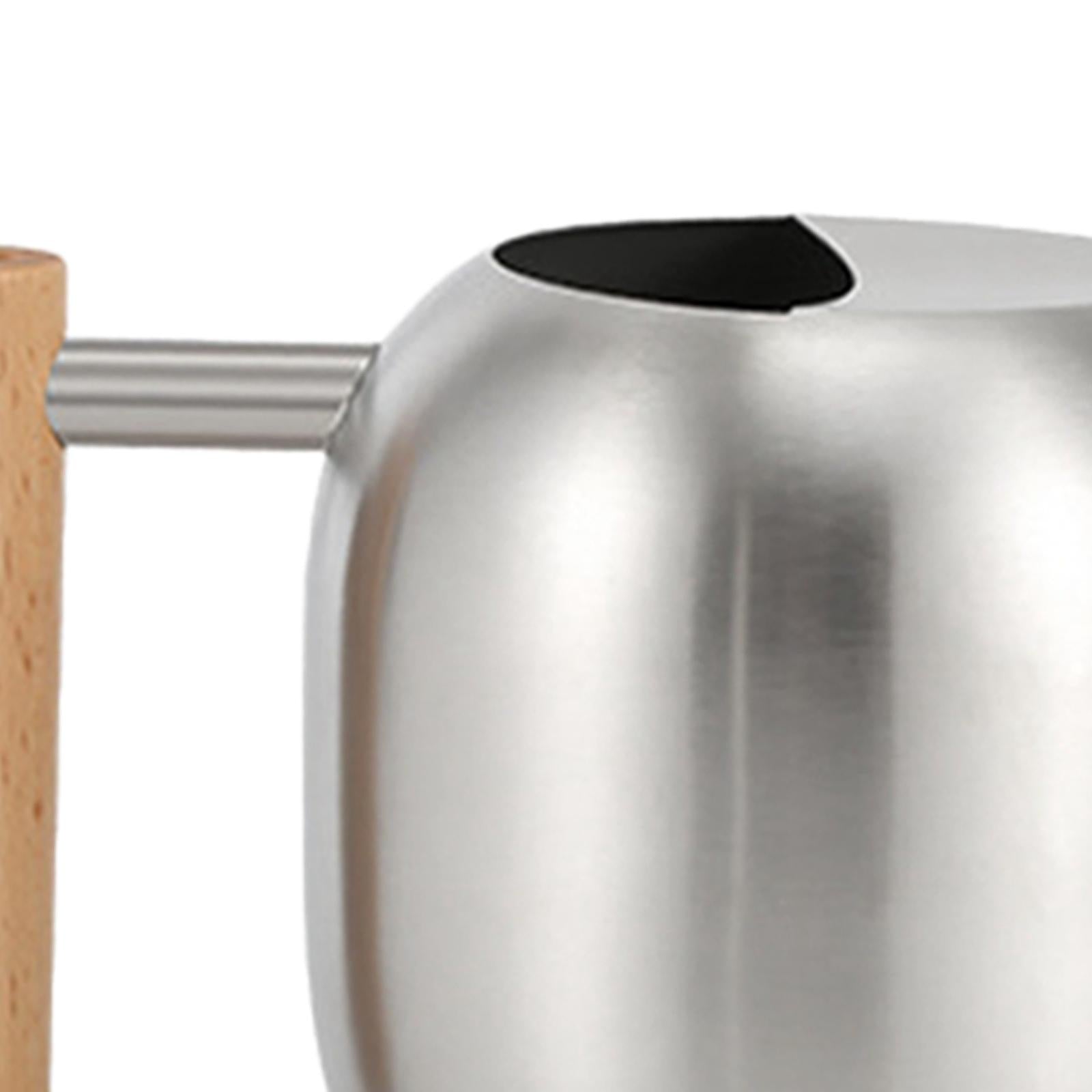 Stainless Steel Indoor Watering Can ,Modern Watering Can Pot, Wooden Handle Long Spout Watering Can for Patio, Flower ,Outdoor Decorative