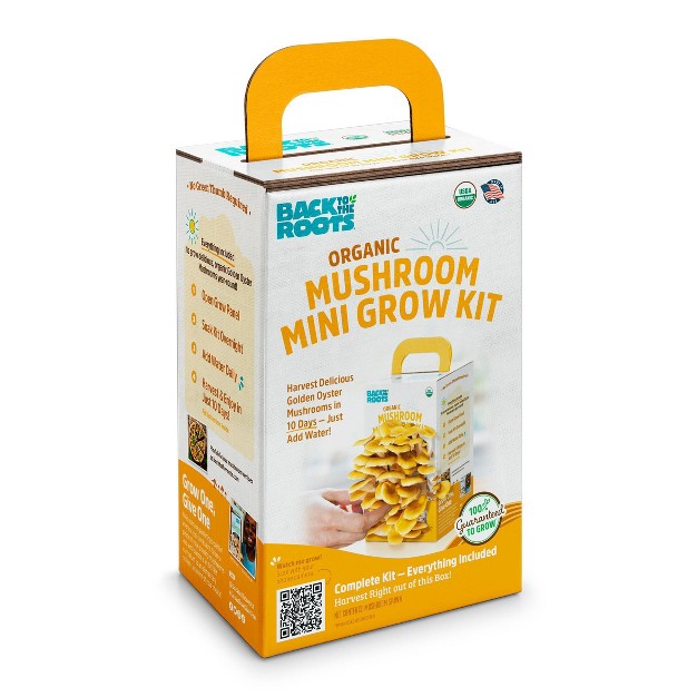 Back To The Roots Organic Mushroom Mini Grow Kit Golden Oyster