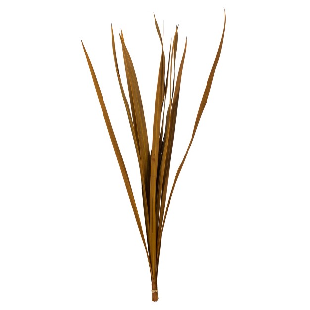 Snake Grass， Dried - 36 Stems