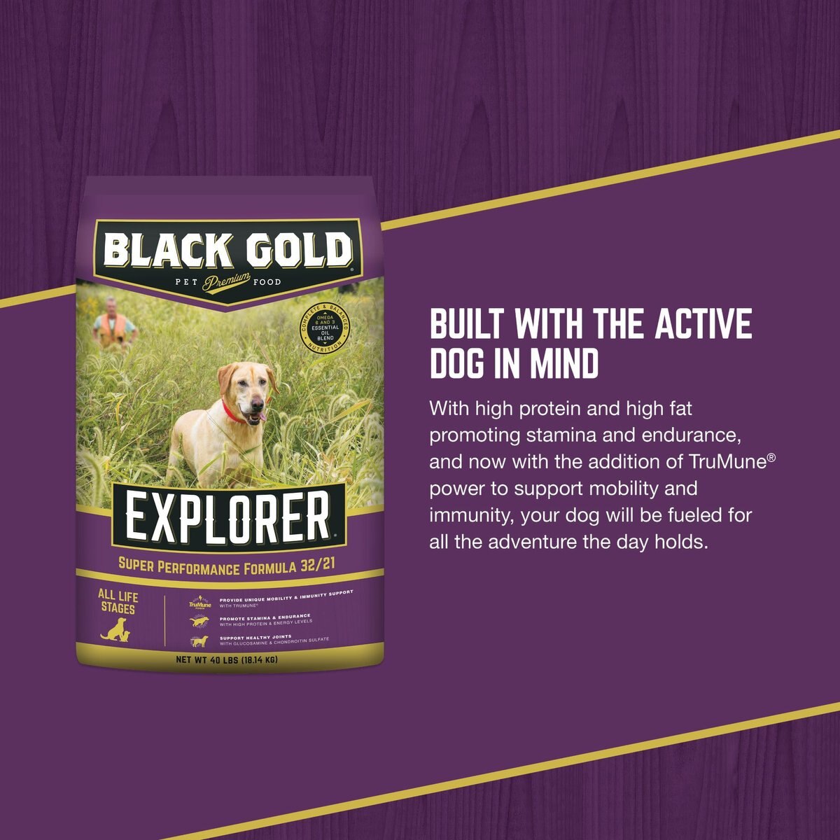 Black Gold Explorer Super Performance Formula 32/21 Dry Dog Food， 40-lb bag