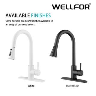 WELLFOR Single Handle Pull Down Sprayer Kitchen Faucet with Deckplate in Matte White WA2806WH