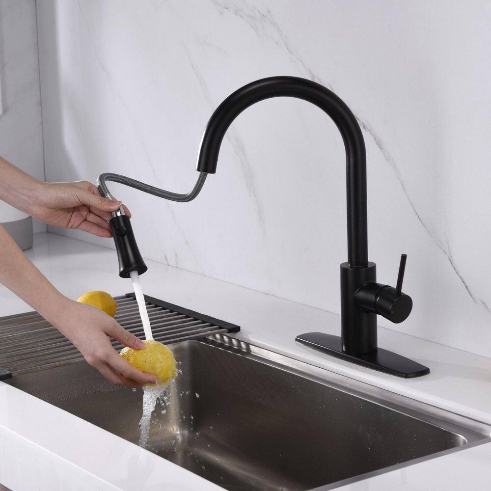 Ultra Faucets Euro Single-Handle Pull-Down Sprayer Kitchen Faucet with Accessories in Rust and Spot Resist in Oil Rubbed Bronze UF14205