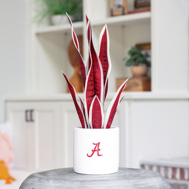 Quicskcart University Of Alabama Faux Snake Plant， Indoor Artificial Plant For Home Decor