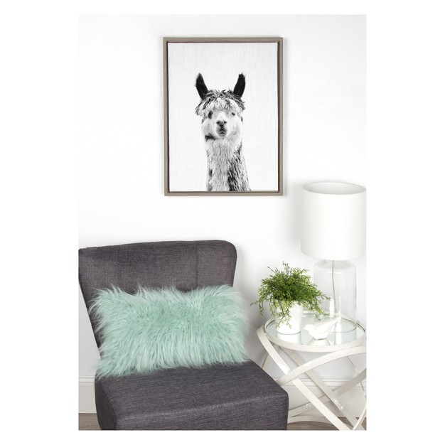 X 24 quot Sylvie Llama Framed Canvas By Simon Te Tai Gray Kate And Laurel