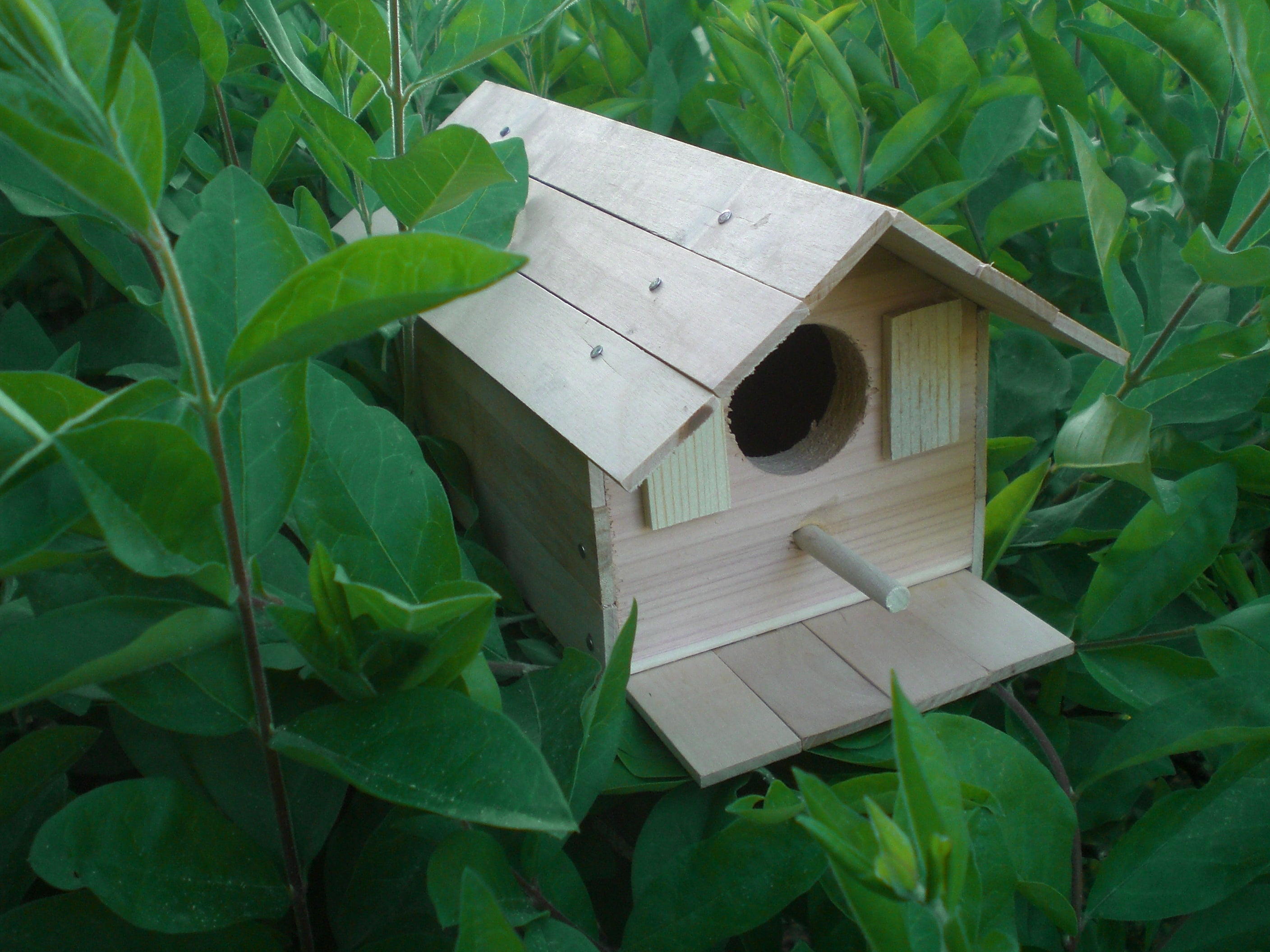 HAMMOND TOYS Wood Bird House Kit Complete With Nails