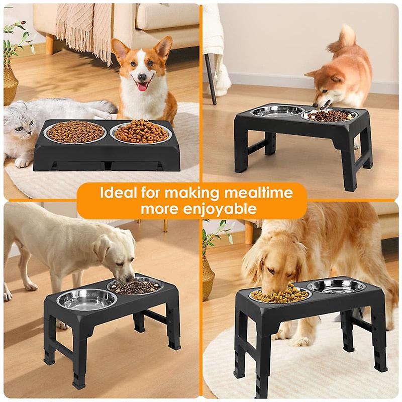 4 Heights stainless steel raised dog bowl