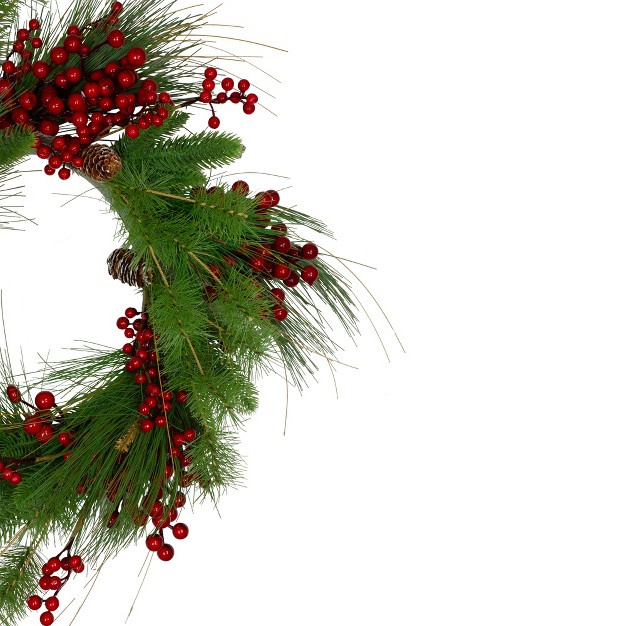 Northlight 24 inch Mixed Pine And Red Berry Artificial Christmas Wreath Unlit