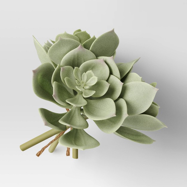 Echeveria Succulent Mini Stem Bundle - Threshold