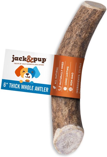 Jack and Pup Medium Whole Elk Antler Extra Thick Dog Chew Treats， 6-in