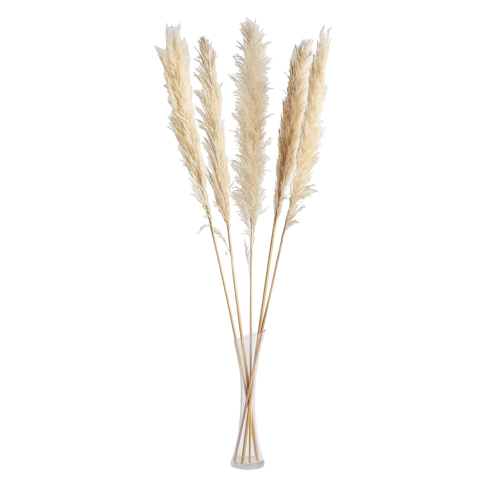 6 Stems Wheat Tint Dried Natural Pampas Grass Plant Sprays 49