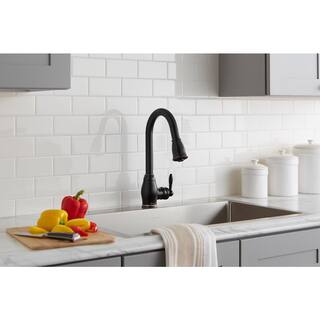 Glacier Bay Newbury Single-Handle Pull-Down Sprayer Kitchen Faucet in Oil-Rubbed Bronze FP4A0033RBP