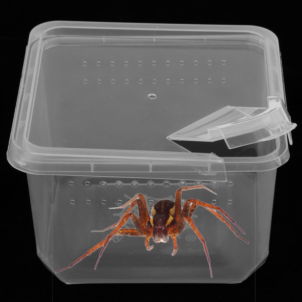 Reptile Breeding Box Spider Container Case Hatching Tank Feeding House