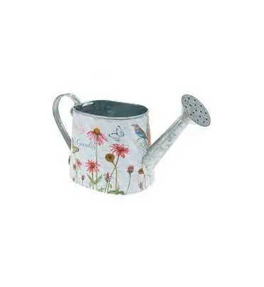 Customized Gardening Flowers Long Spout Water Kettle Galvanized Power Coated Metal Watering Can Garden