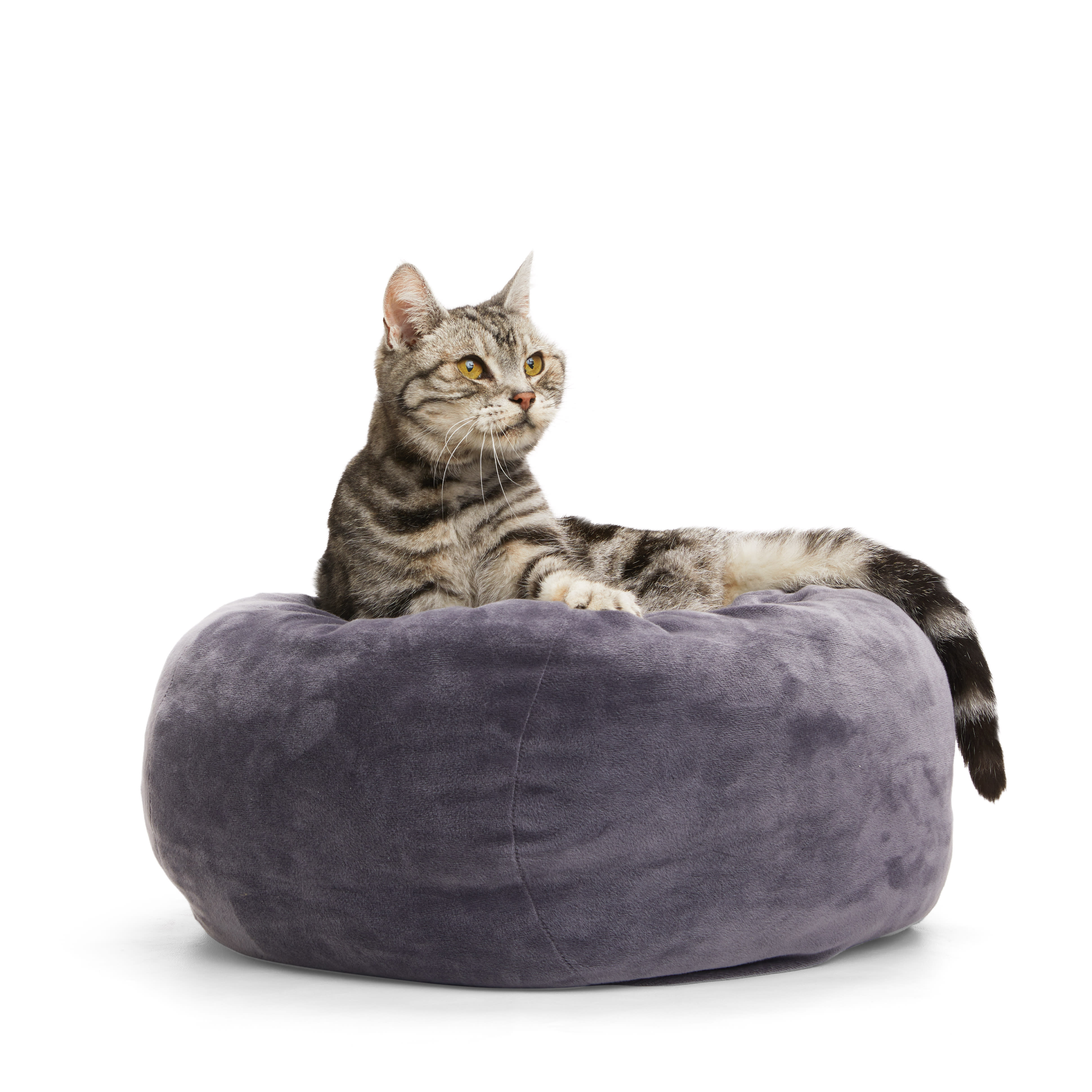 EveryYay Essentials Charcoal Orthopedic Cuddler Cat Bed， 18