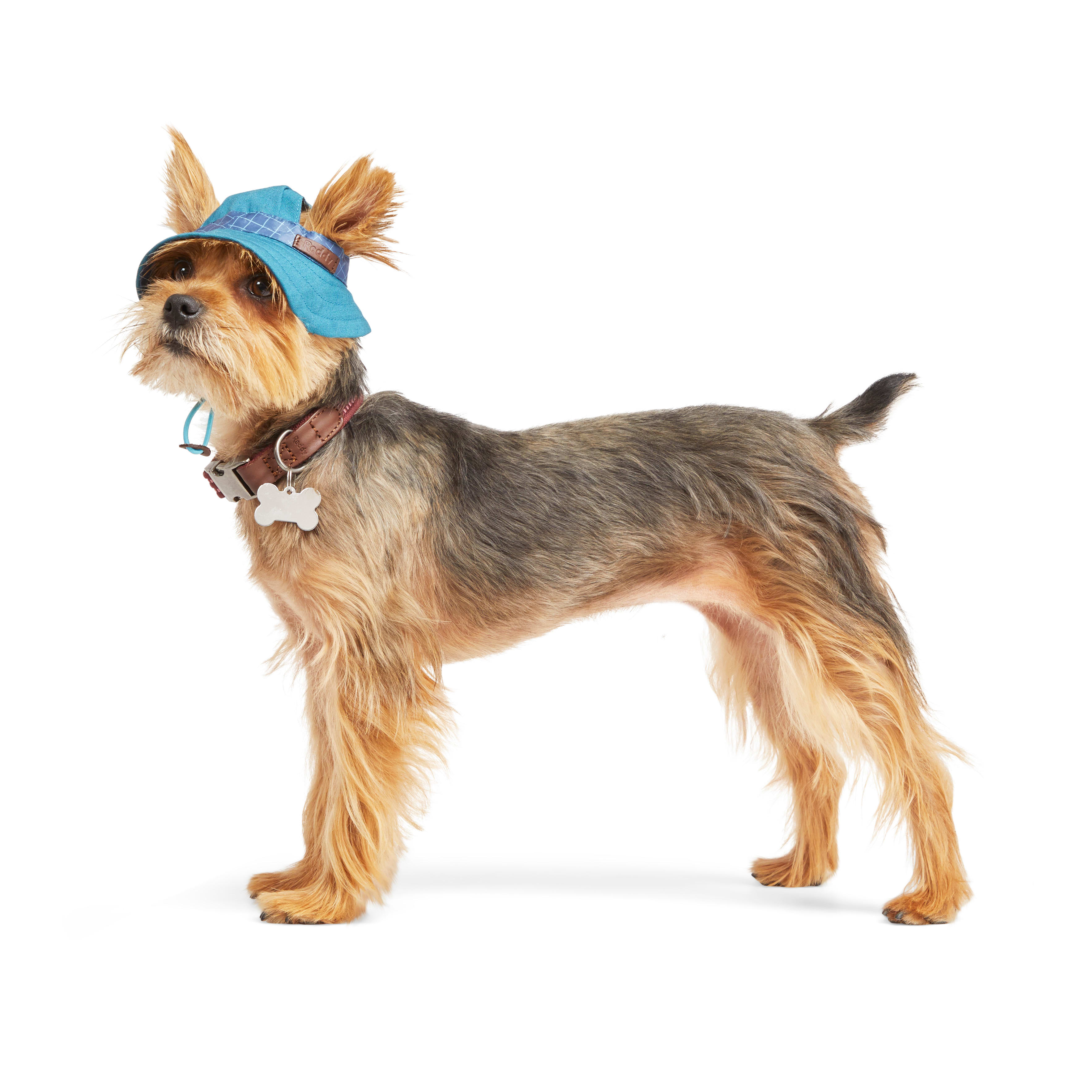 REDDY Navy Bucket Dog Hat， X-Small/Small