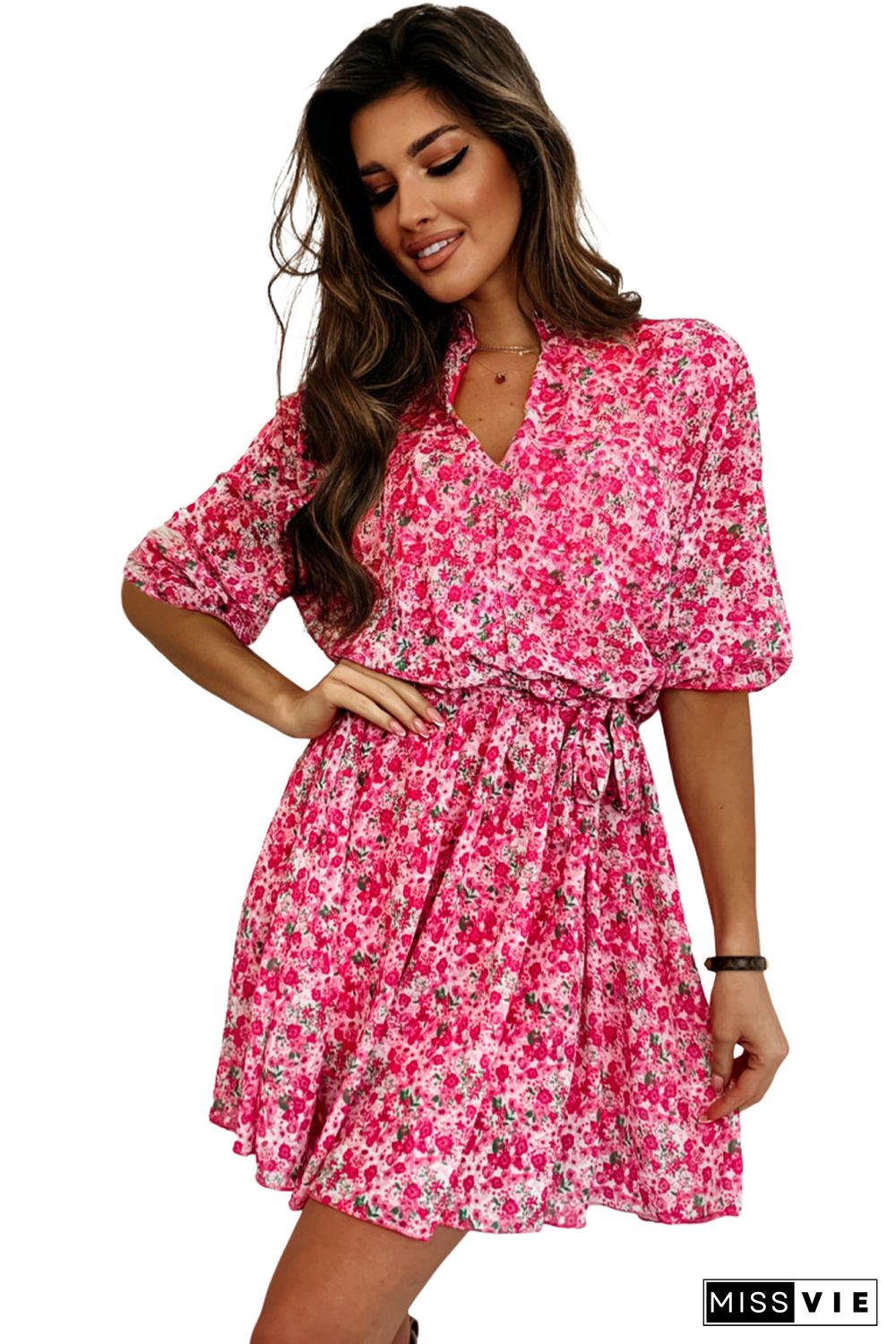 Rose Ditsy Floral Notch V Neck Belted Swing Dress