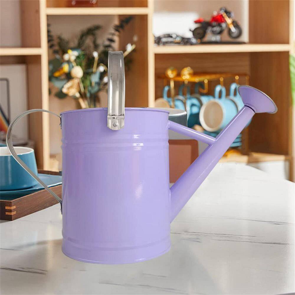 Dyiom 1 Gal. Purple Metal Watering Can B0B4JQ8GDS