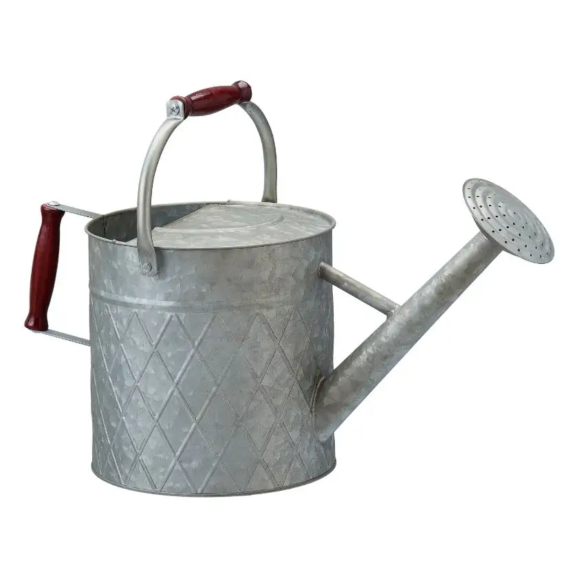 Newest Modern Galvanized Metal Watering can for outdoor and indoor plants flowers watering can Home Garden made in india 2023