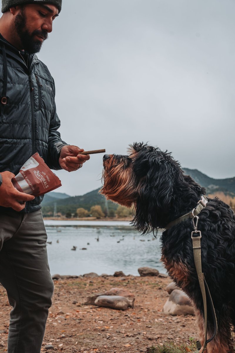 Dog Treat Naturals Duck and Apple Superfood Fresh All Stages Natural Chew Stick Dog Treats， 10-oz bag