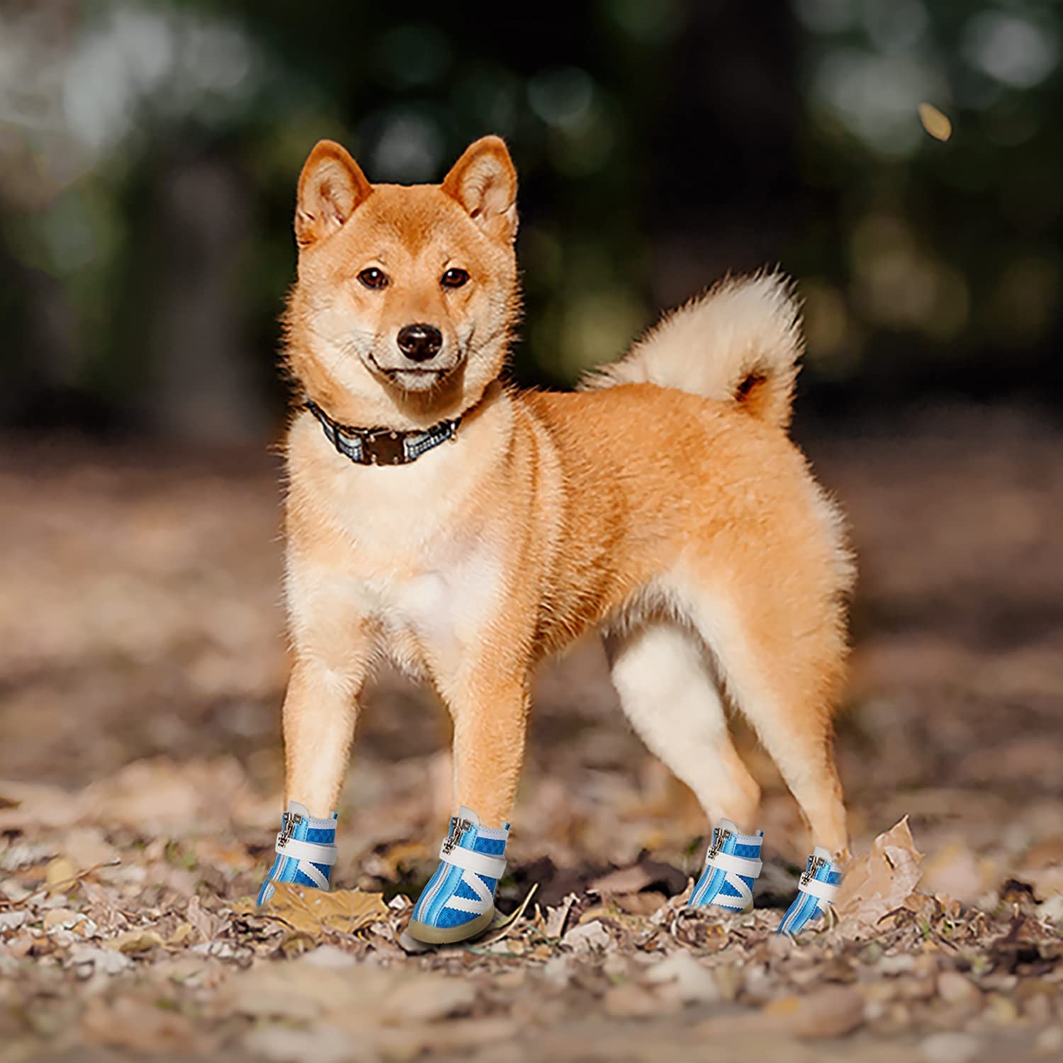 PETLOFT Small Dog Shoes， Reflective Slip Resistant 4pcs Dog Puppy Boots， Protect Paws Easy to Wear