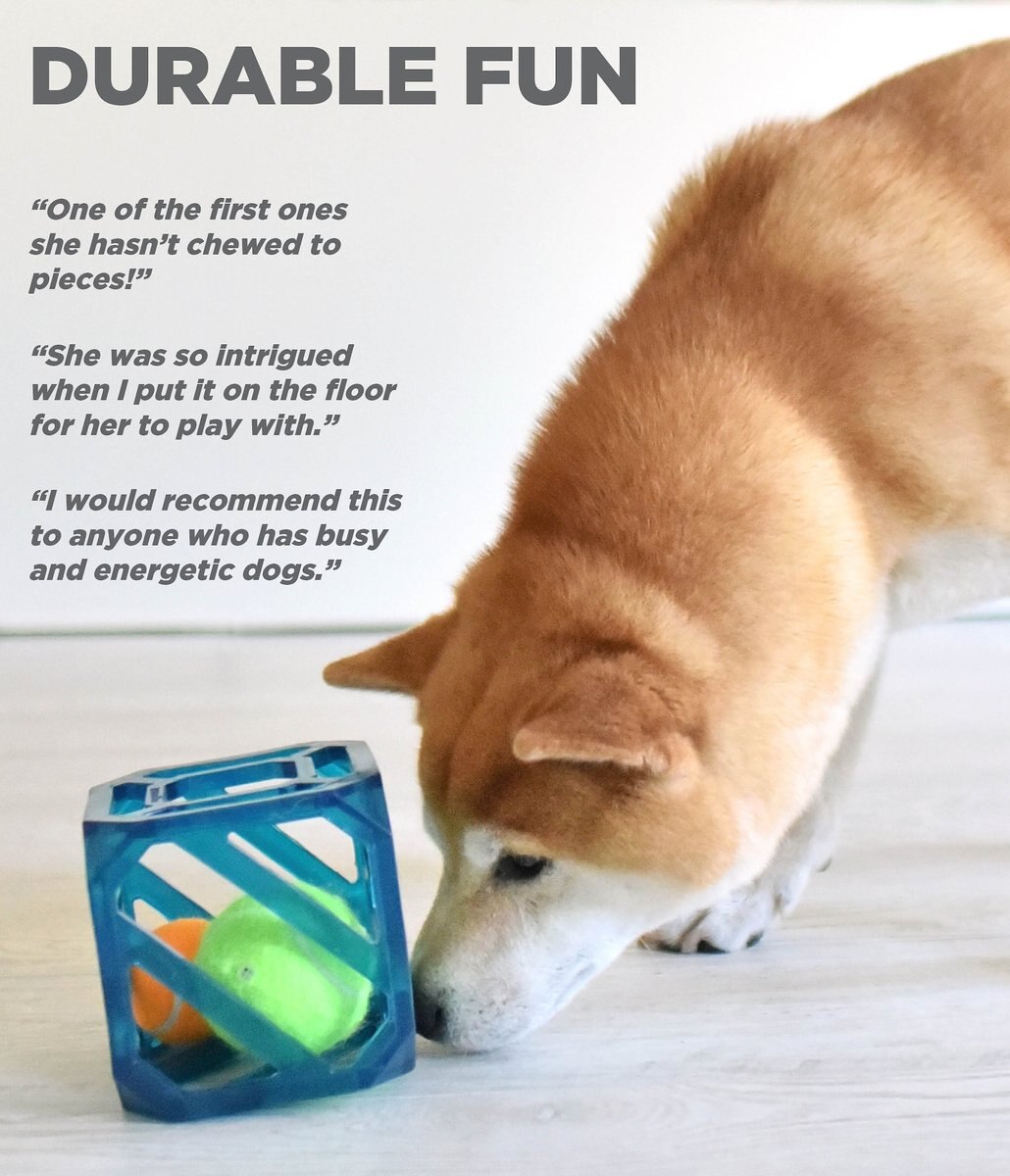 Outward Hound Puzzle Cube Interactive Dog Toy