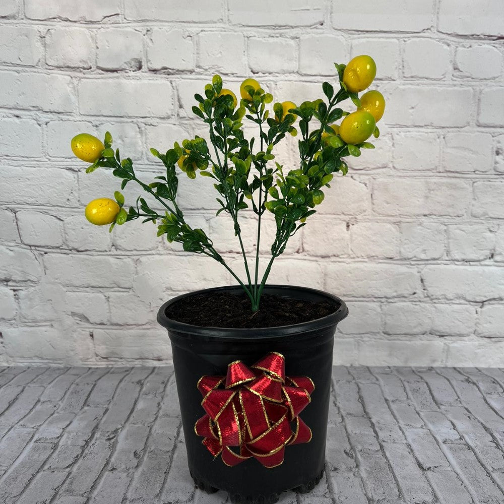 Gorgeous Lemon Bonsai in pot of your choice (Artificial )