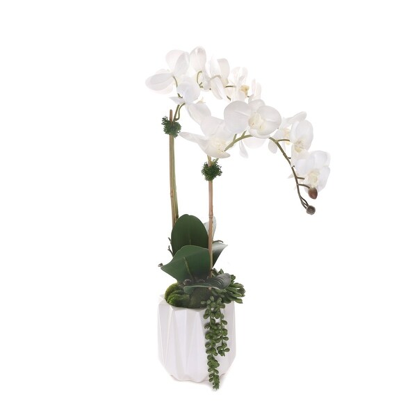 Real Touch Phalaenopsis Orchids with Succulent in White Pot