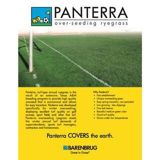 Barenbrug 50 lb. Panterra V OverSeeding Rye Grass Seed 25080