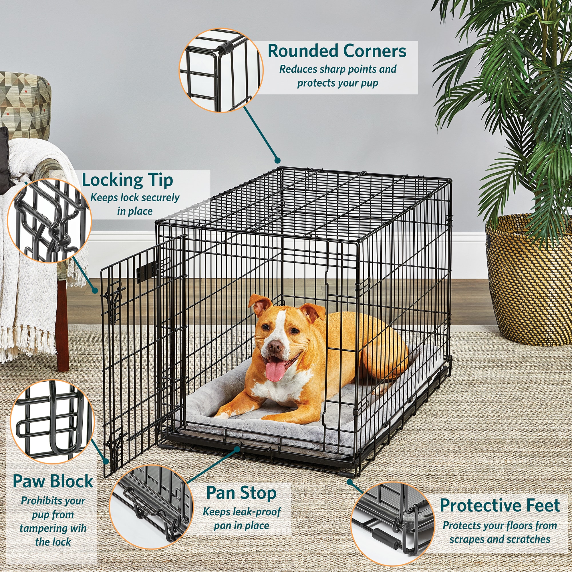 MIDWEST Lifestages Fold amp; Carry Crate for Dogs， 48.5