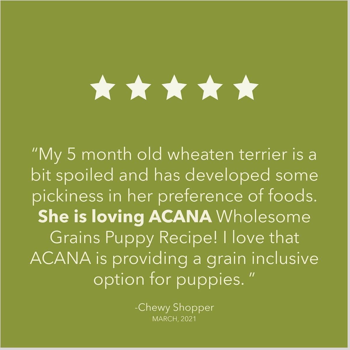 ACANA Wholesome Grains Puppy Recipe Dry Dog Food