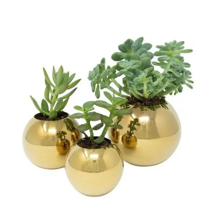 Shiny Polished Metal Planter Home Indoor Outdoor Garden Usage Customized Size Metal Planter Manufacture by India