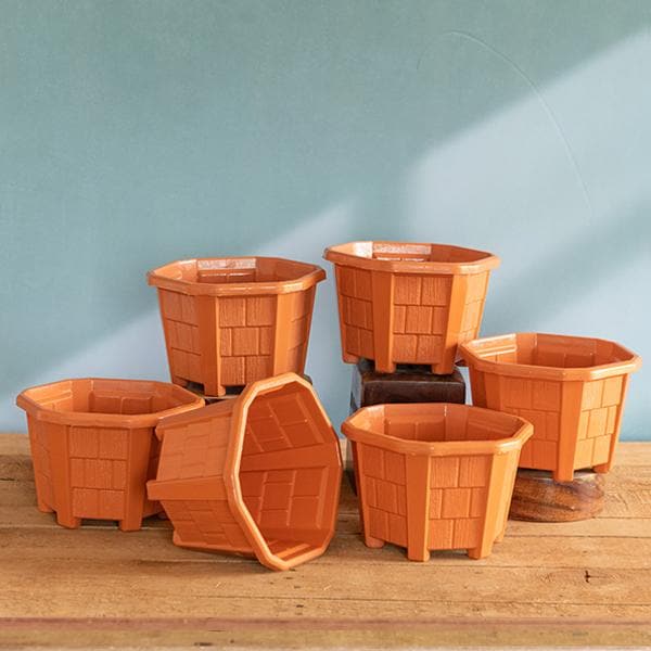 6.5 inch (17 cm) Hexa No. 2 Plastic Planter (Terracotta Color) (set of 6)