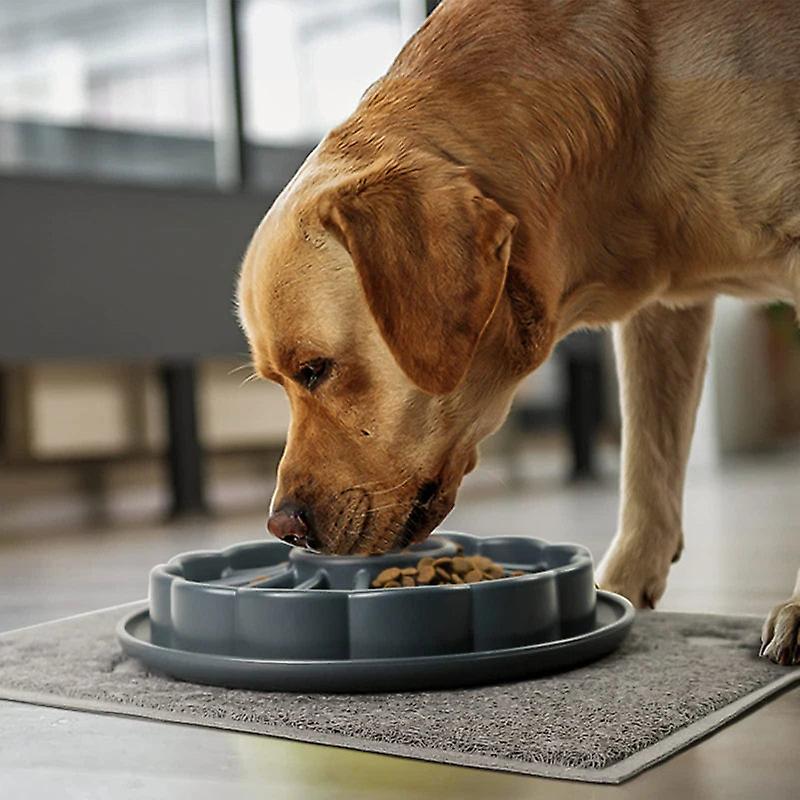 High end dog slow feeder bowl