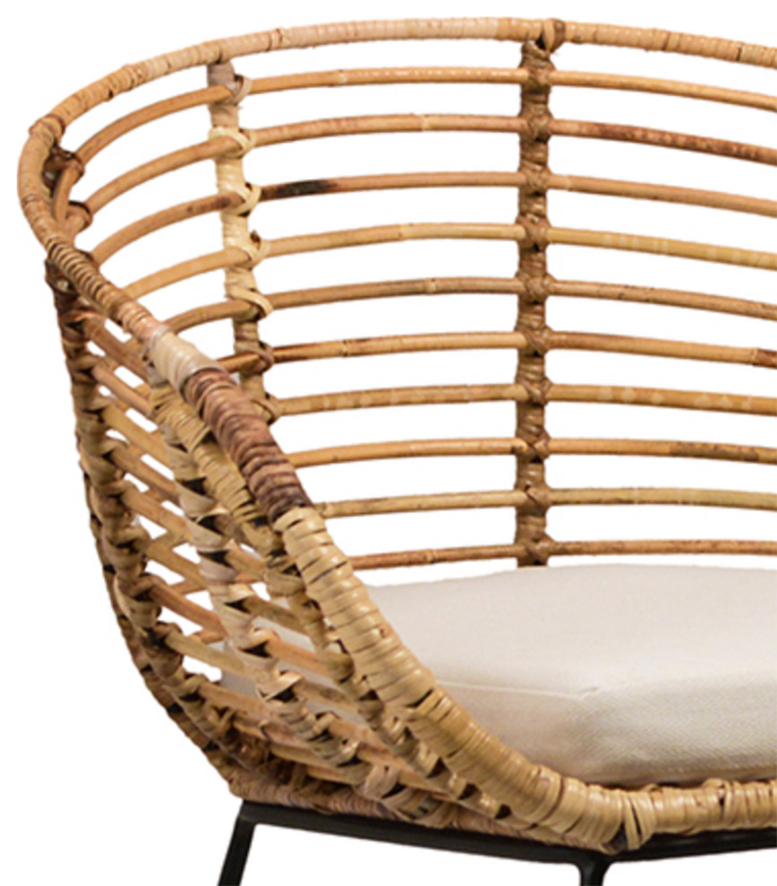 Talia Rattan Dining Chair   Tropical   Dining Chairs   by Design Mix Furniture  Houzz