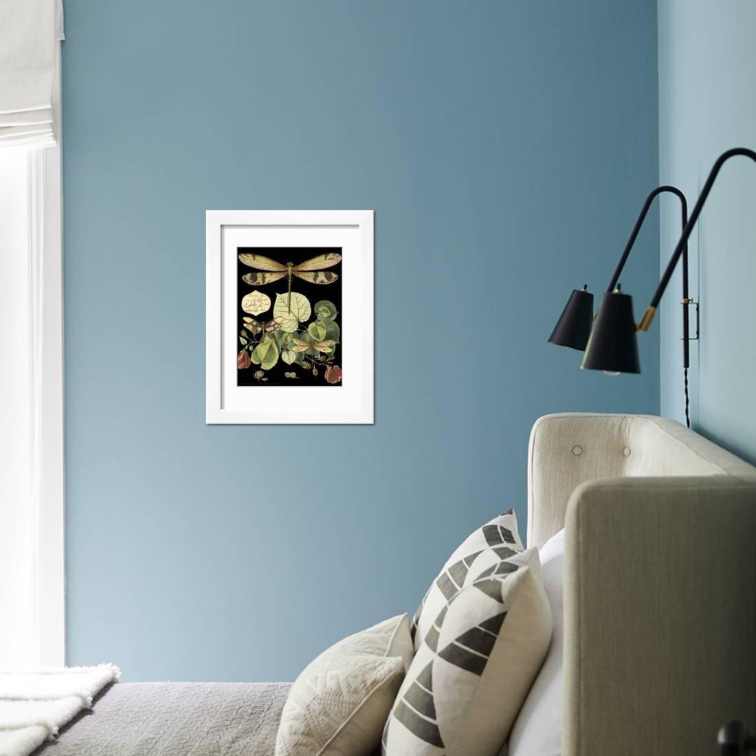 Whimsical Dragonfly on Black II Framed Print Wall Art by Vision Studio Sold by Art.Com