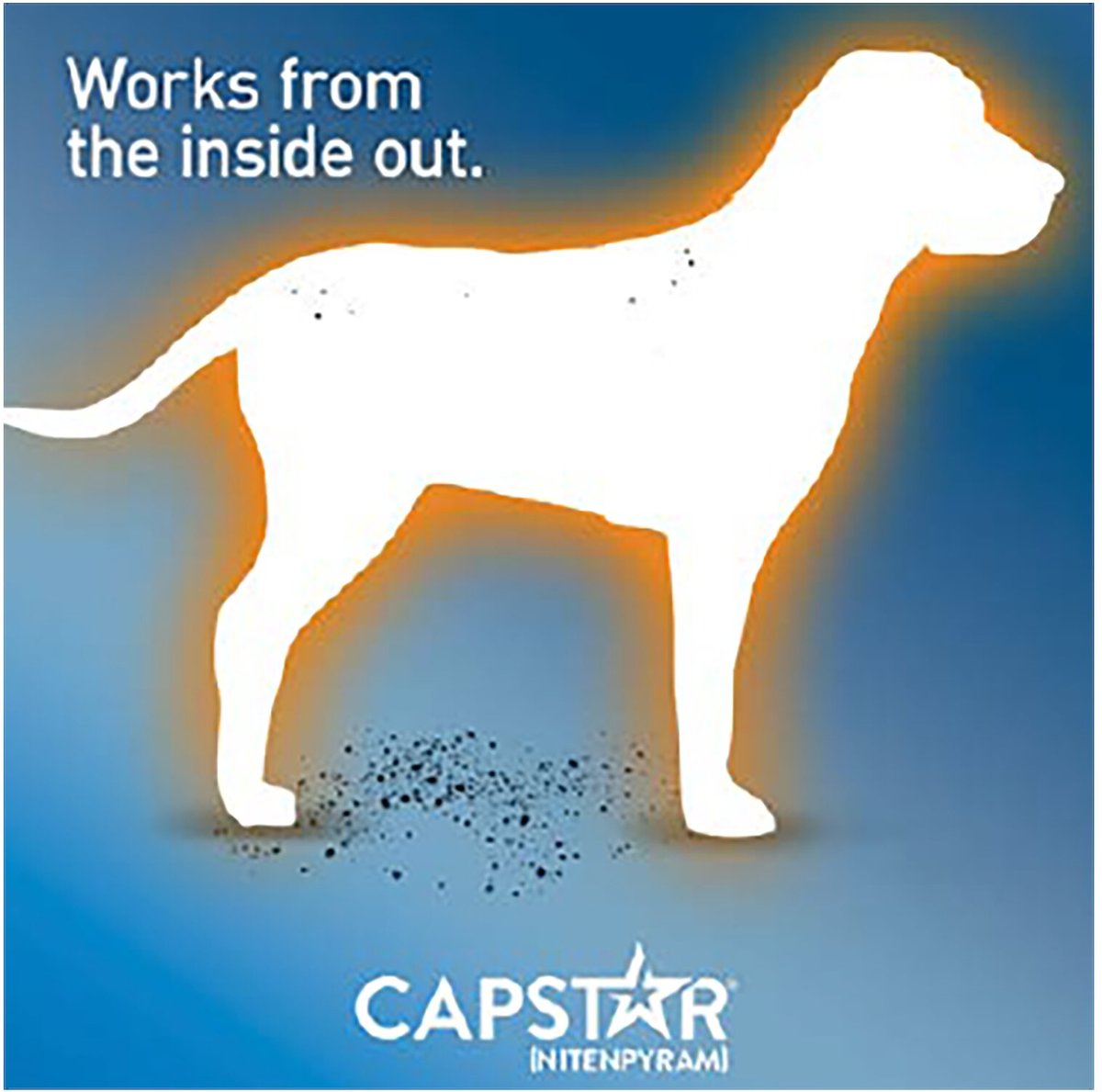 Capstar Flea Oral Treatment for Dogs， 2-25 lbs