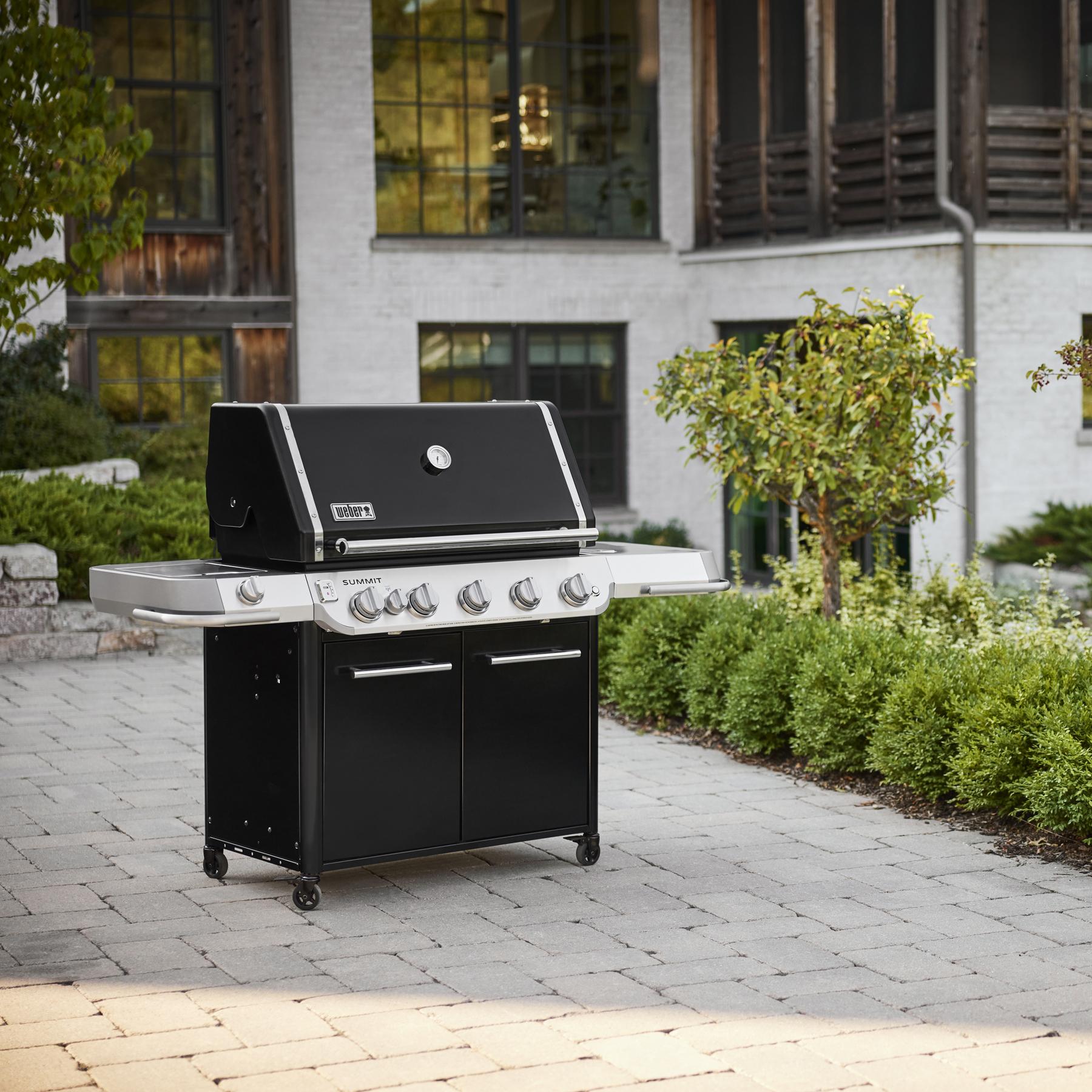 Weber 1500029 Summit® Fs38 E Gas Grill (Liquid Propane) - Black