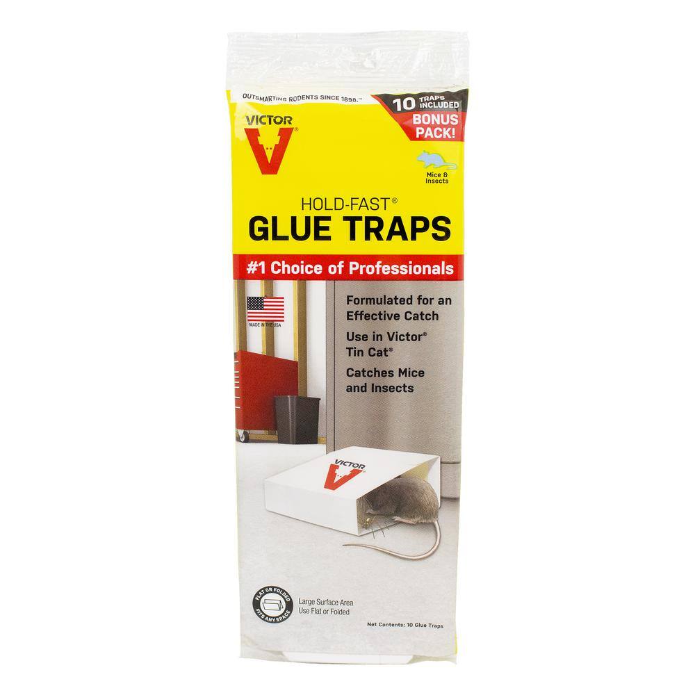 Victor Hold-Fast Disposable Mouse and Insect Glue Board Traps (10-Pack) M1810