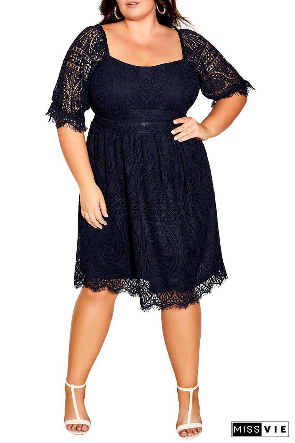 Black Eyelash Lace Square Neck Plus Size Dress