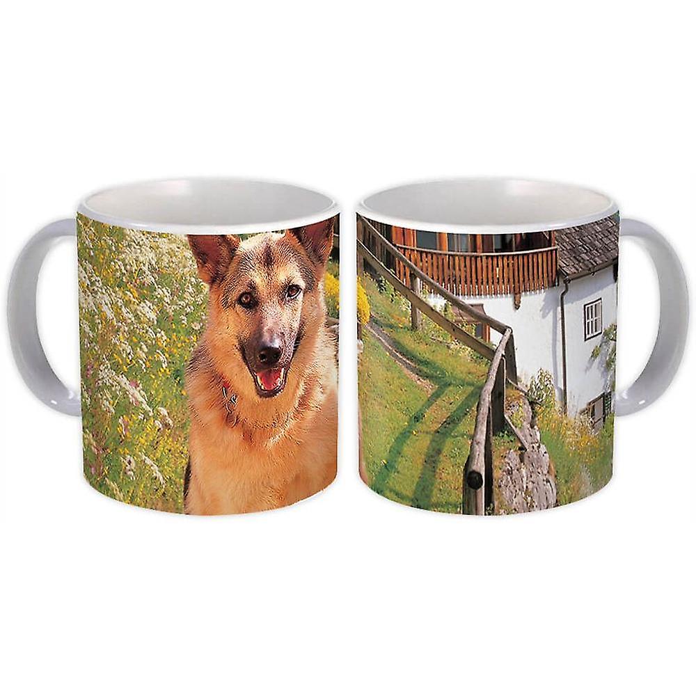 Gift Mug: German Shepherd Dog