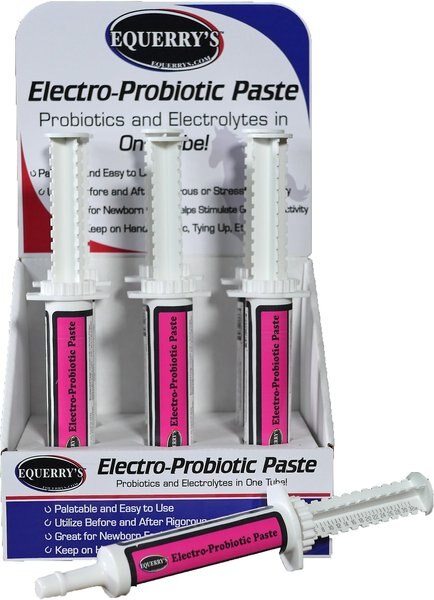 Equerry's Electro-Probiotic Paste Horse Supplement， 30-gm syringe