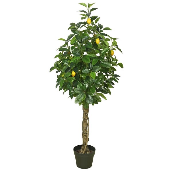 Vickerman 51 Green and Yellow Lemon Flowering Tree