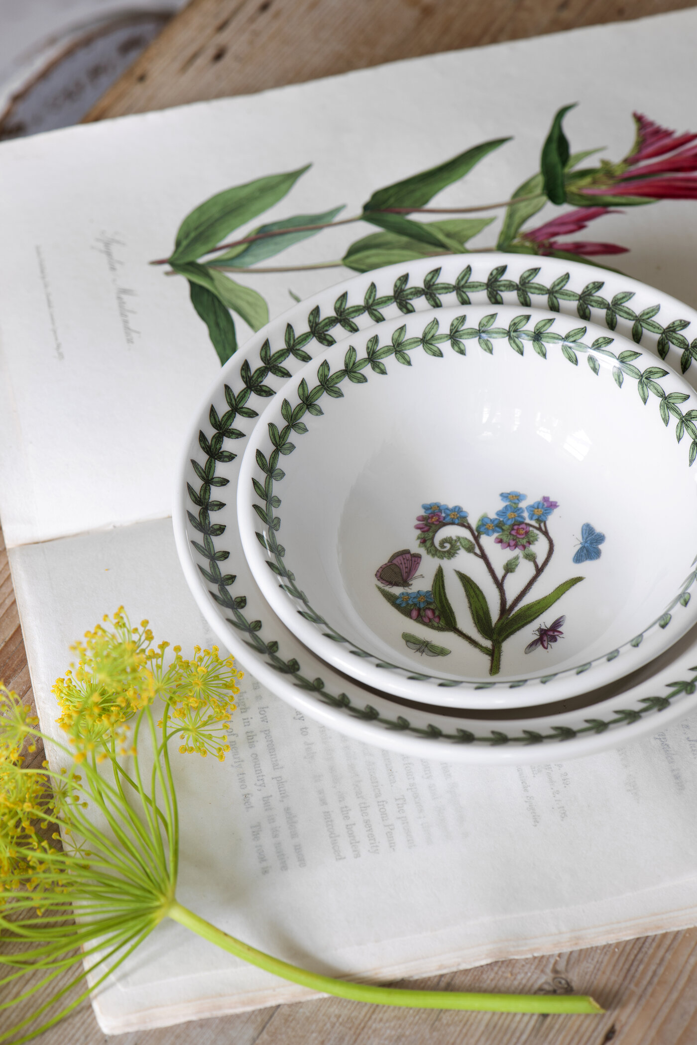 Portmeirion Botanic Garden Soup/Cereal Bowl 6 