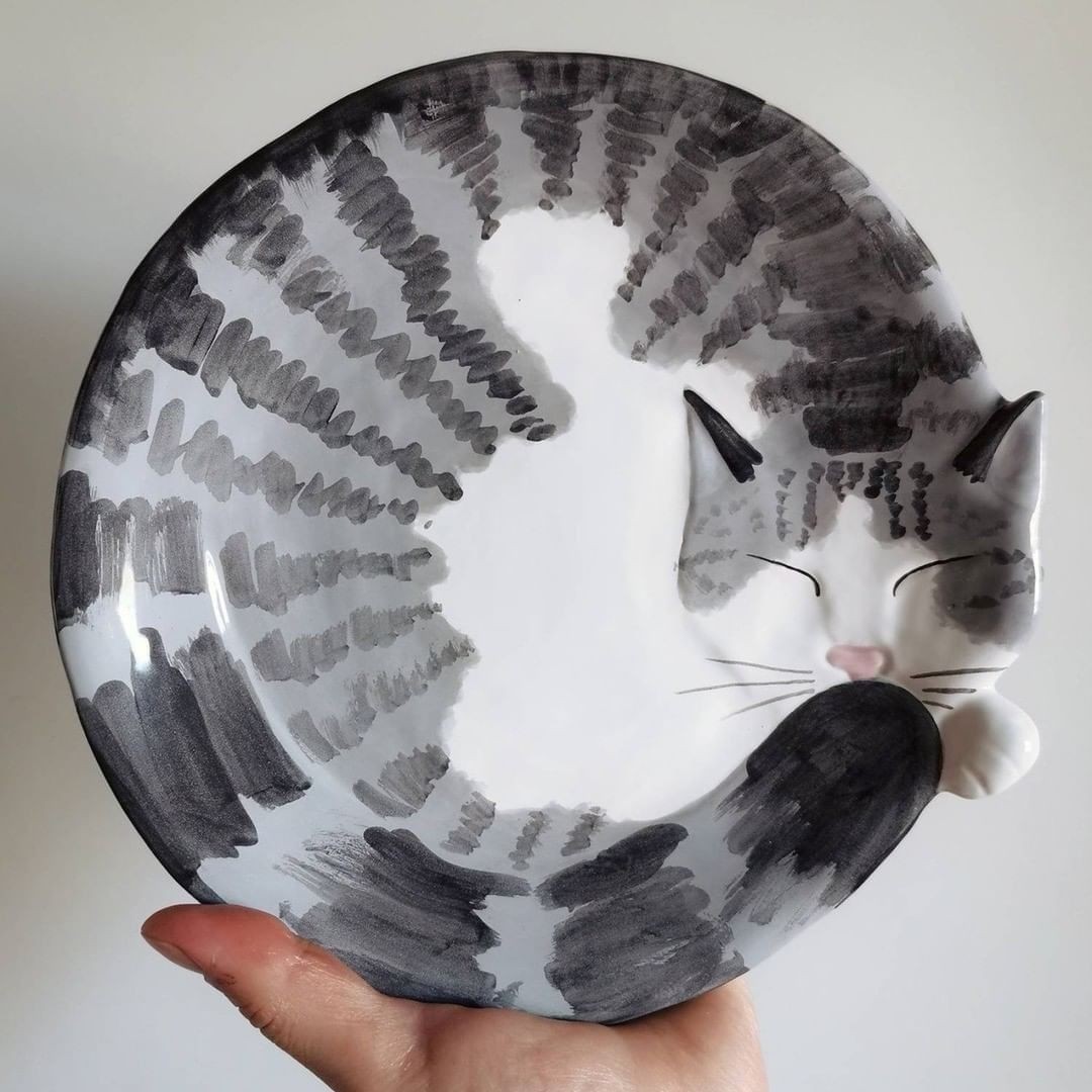 7 pieces cat dinner plates