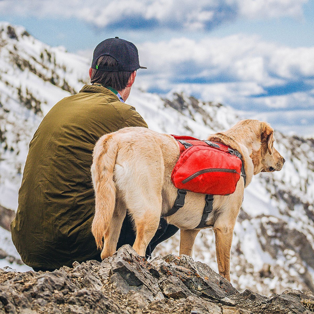 Kurgo Baxter Dog Backpack