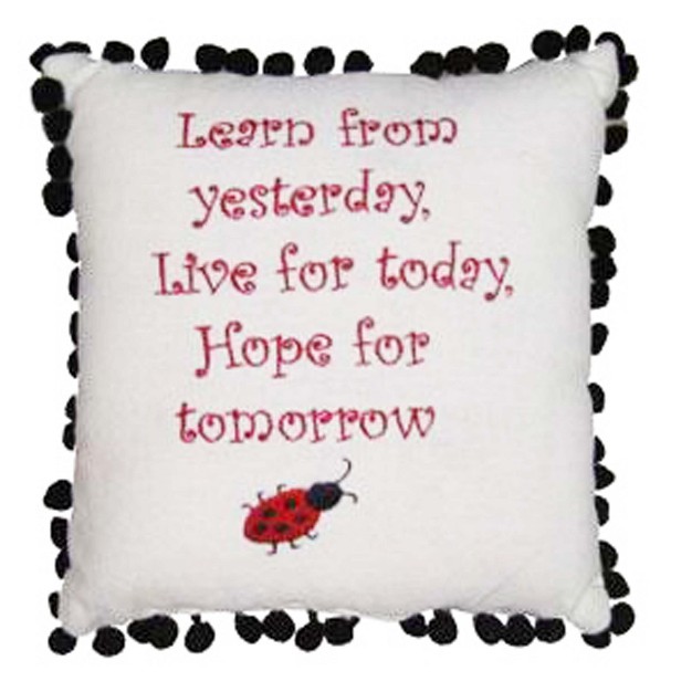 X 10 quot Learn From Yesterday Embroidered Pillow