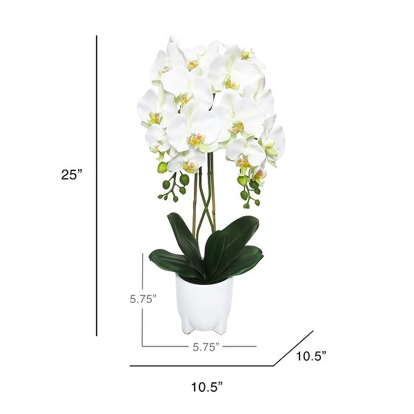 Cream White Artificial Phalaenopsis Orchid Flower Arrangement in White Modern Ceramic Pot 25in